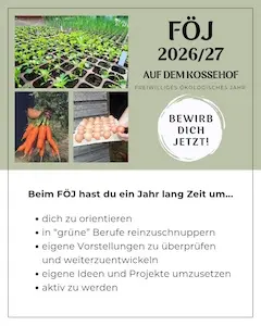 Bewirb Dich für ein FÖJ