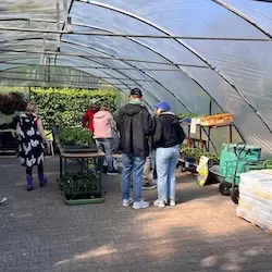 Bericht ems.TV