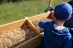 Neuer Pfad für Entdecker
