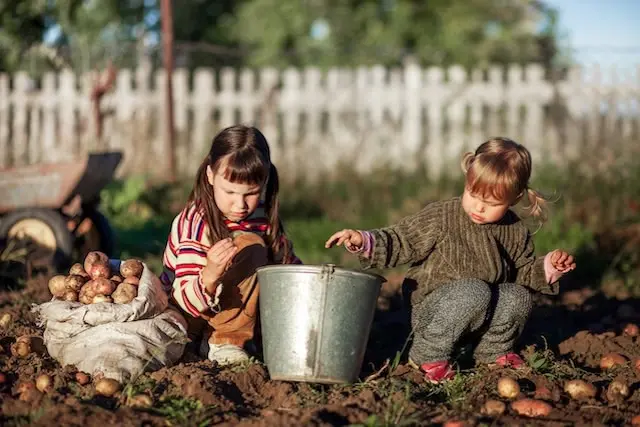 Kurs Bodenschatz - Kinder entdecken die Welt unter ihren Füßen